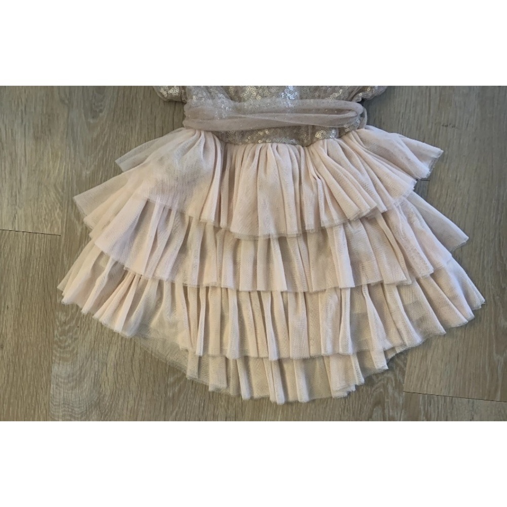 Le Pink Girl’s Size 18 Months Elegant Layered Blush Pink Dress With Sequins Top - Picture 4 of 8